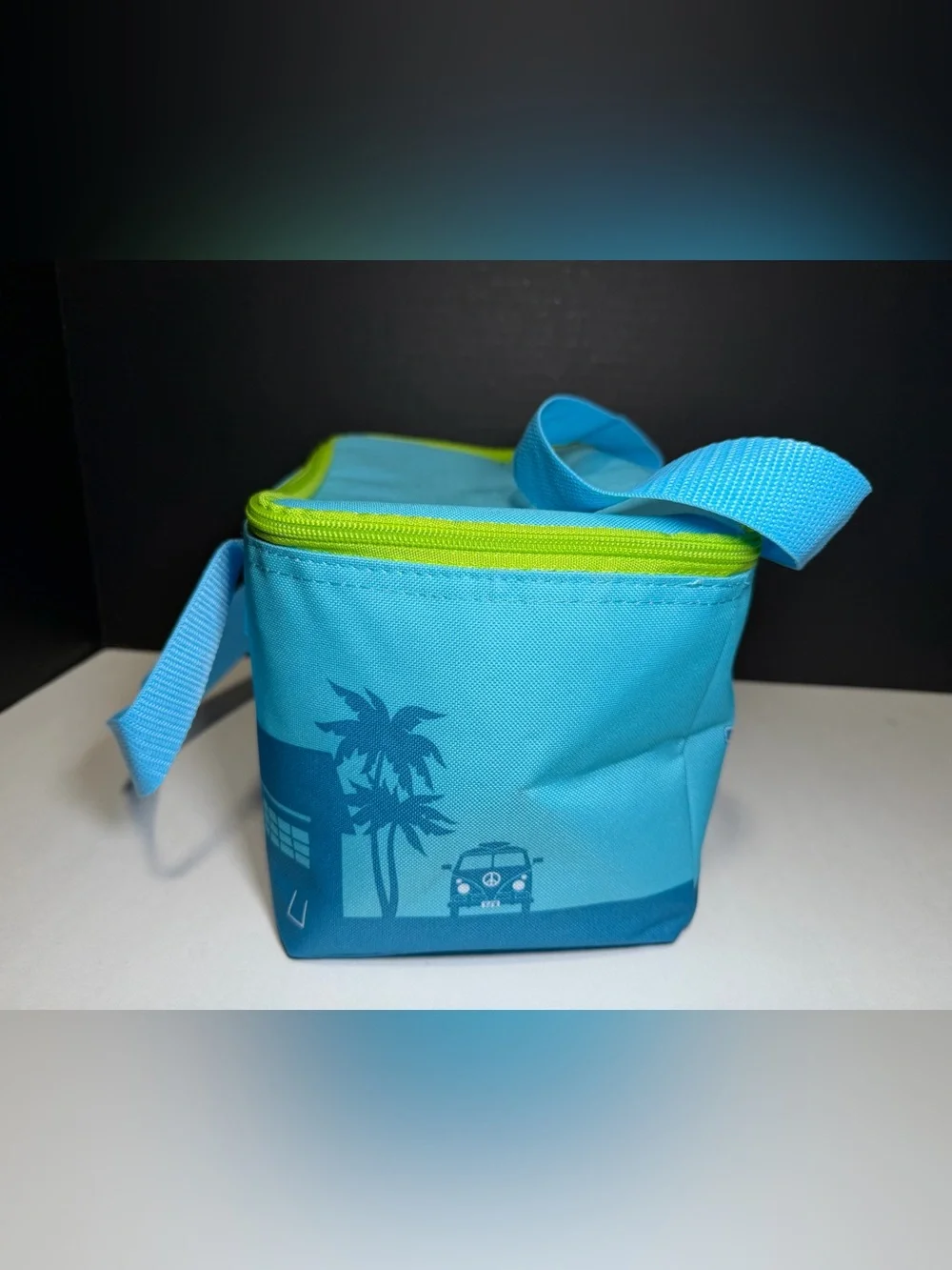 Trader‎ Joe's Aqua Insulated Lunch Bag with Lime Zipper
